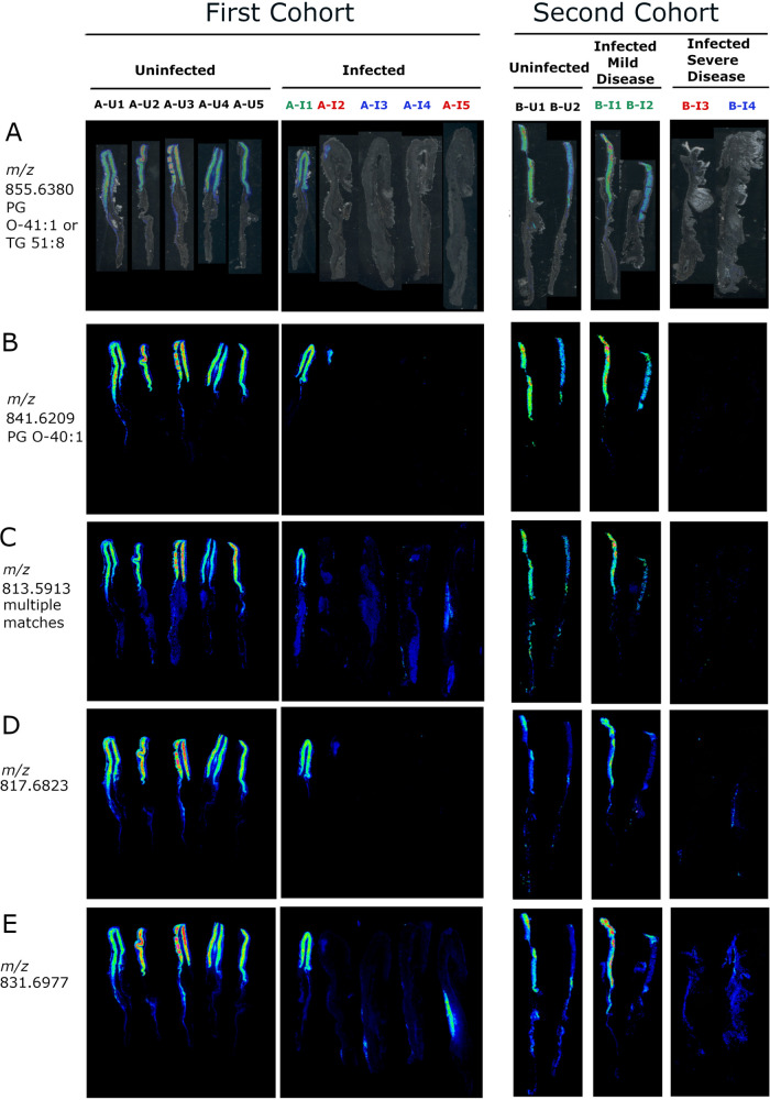 FIG 6