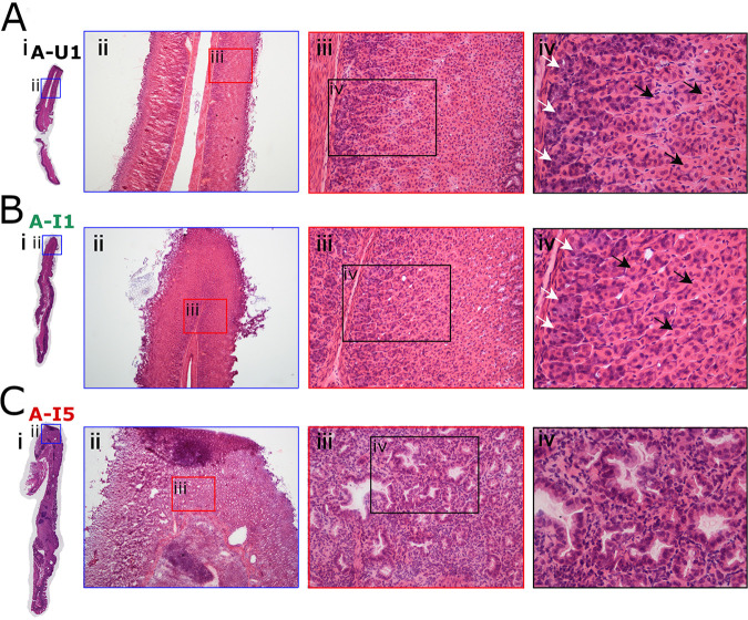 FIG 3