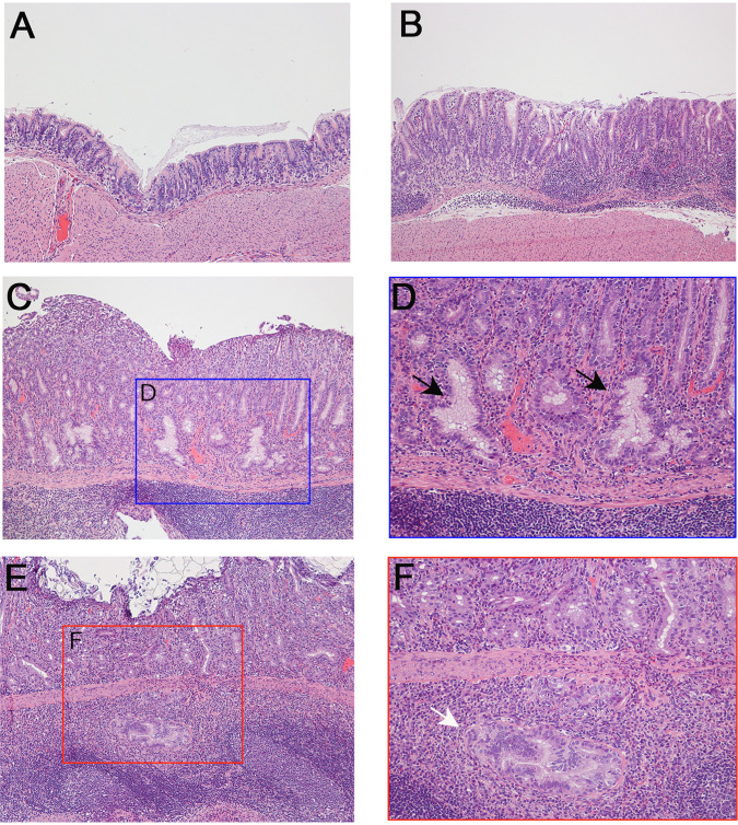 FIG 2