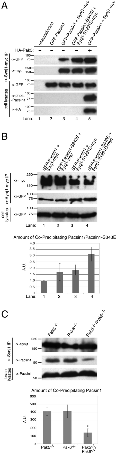 Fig. 6.