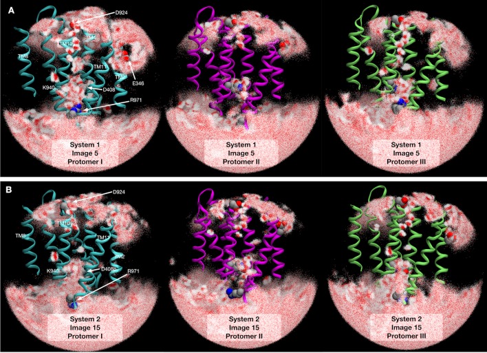 Figure 3—figure supplement 5.