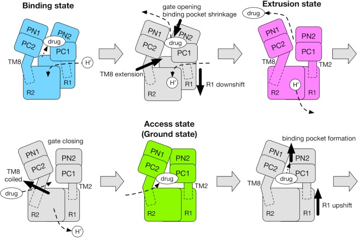 Figure 6.