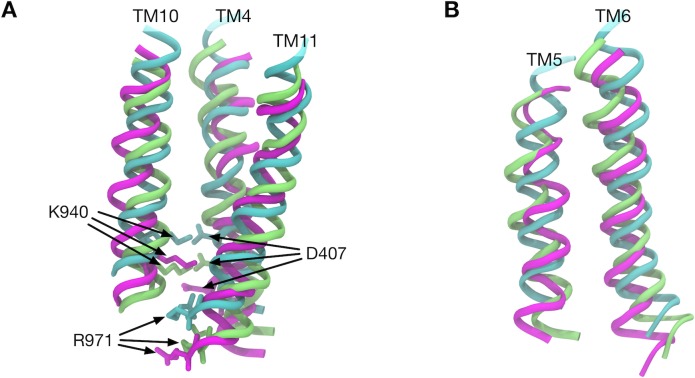 Figure 3—figure supplement 4.