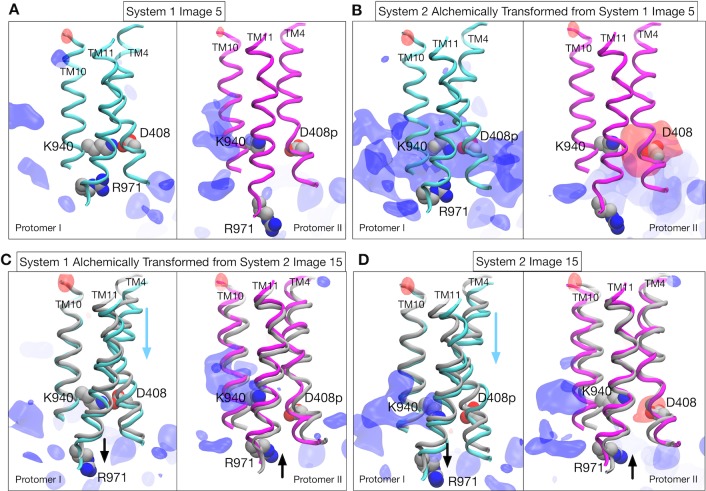 Figure 3—figure supplement 1.