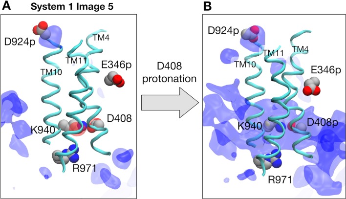 Figure 3—figure supplement 2.