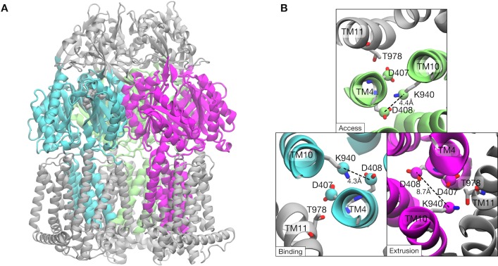 Figure 2—figure supplement 1.