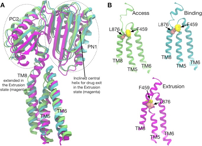 Figure 5.