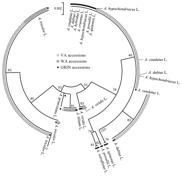 Fig. 2