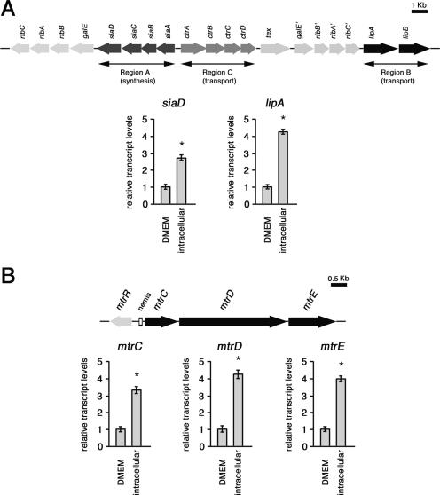 FIG. 5.