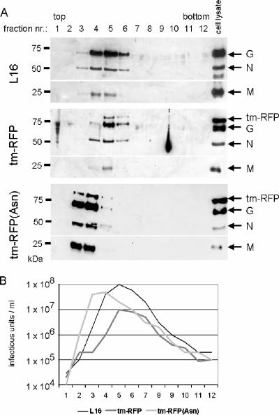 FIG. 5.