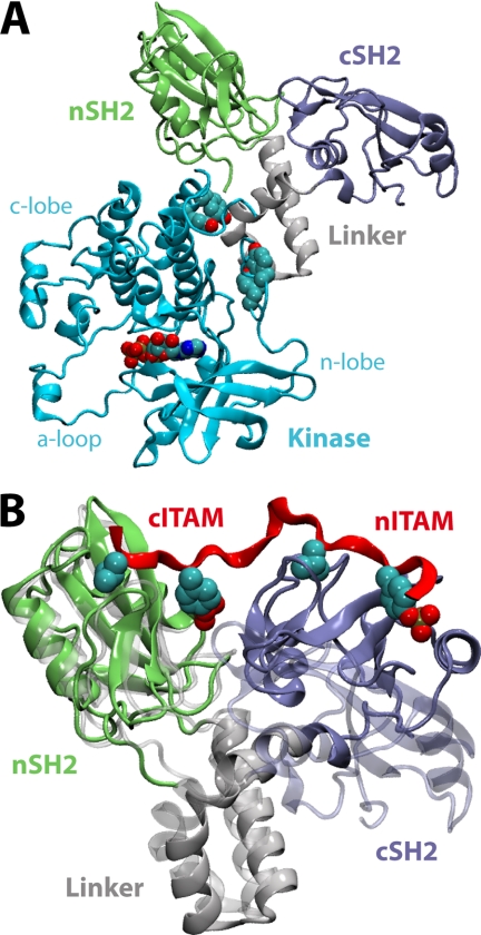 FIGURE 1.