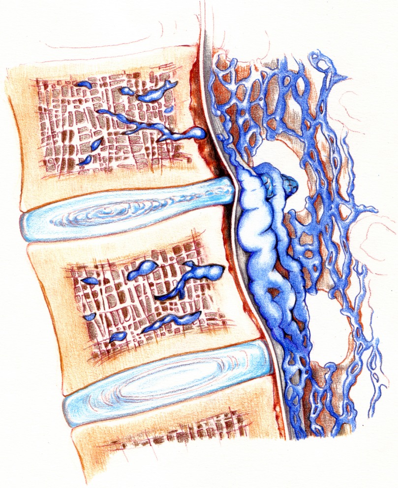 Fig. 1