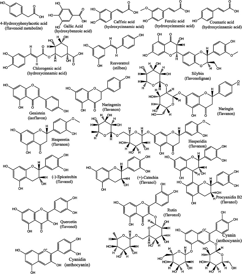 Fig. 6