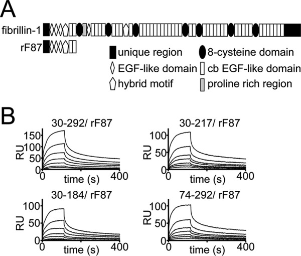 FIGURE 9.