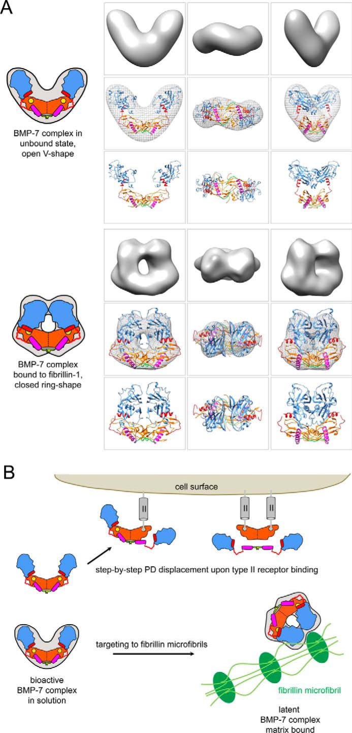 FIGURE 10.