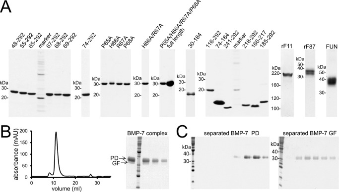 FIGURE 1.