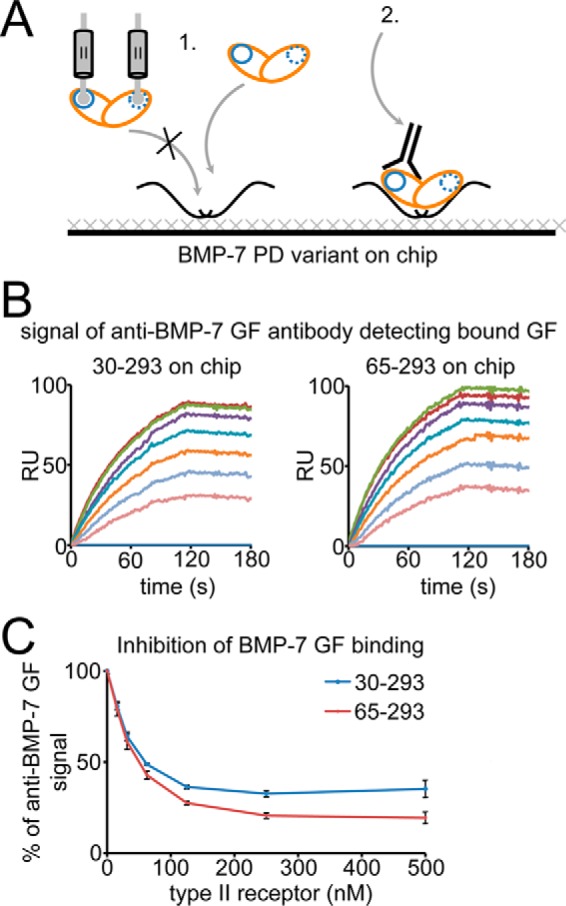 FIGURE 7.