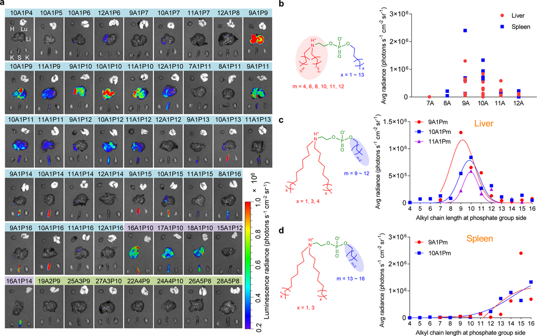 Fig. 4 ǀ