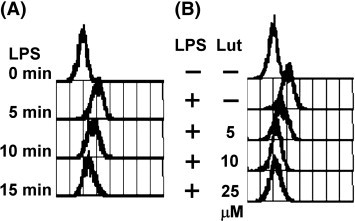 Fig. 5