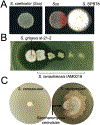 Figure 3.