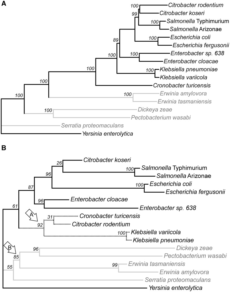 Fig. 9.