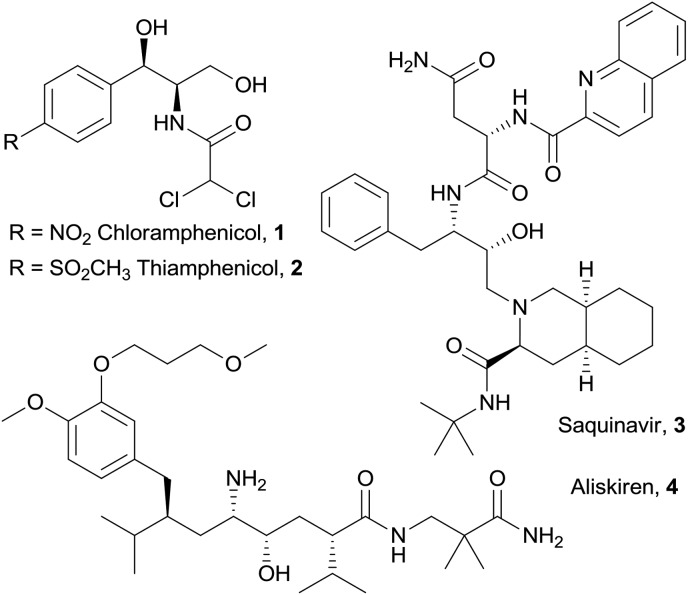 Fig. 1