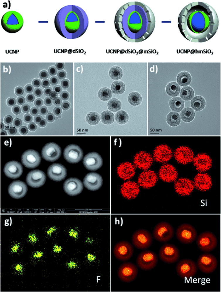 Figure 14