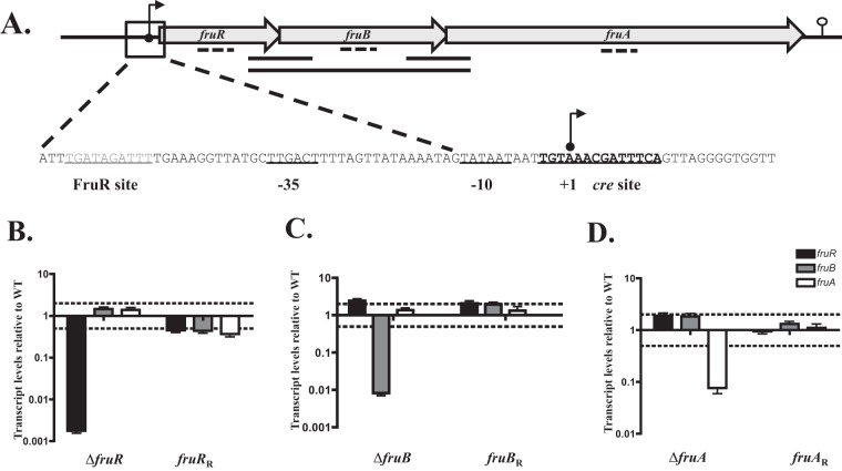 FIG 1