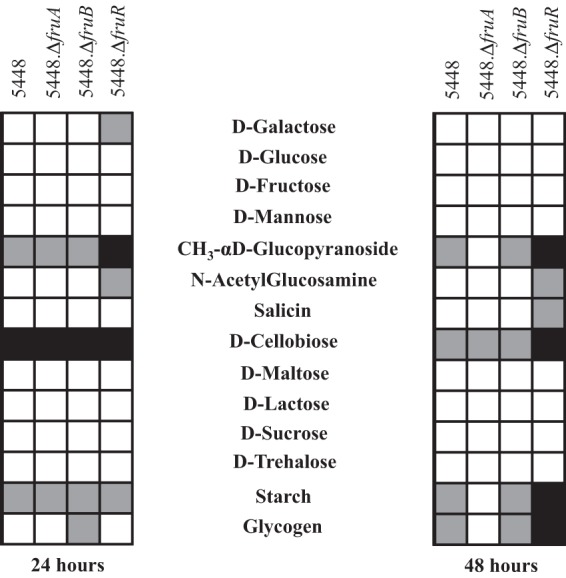 FIG 3