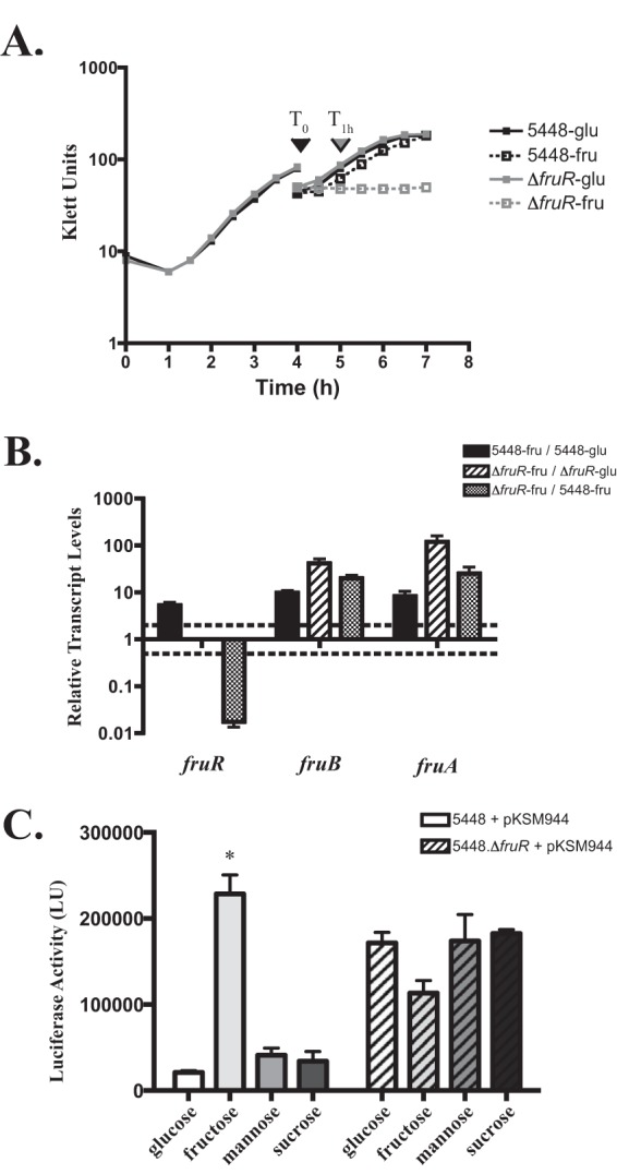 FIG 4