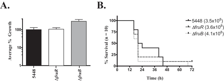 FIG 6