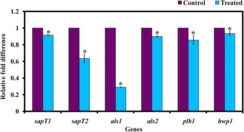 FIGURE 7