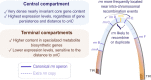 Graphical Abstract