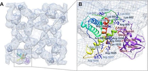 FIGURE 5.