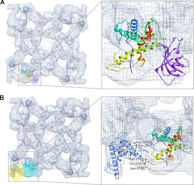 FIGURE 6.