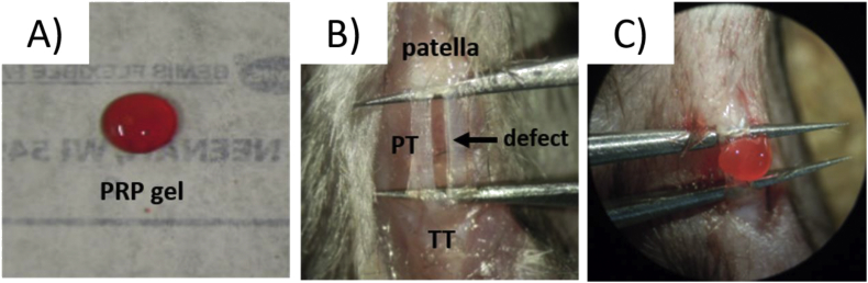 Fig. 2