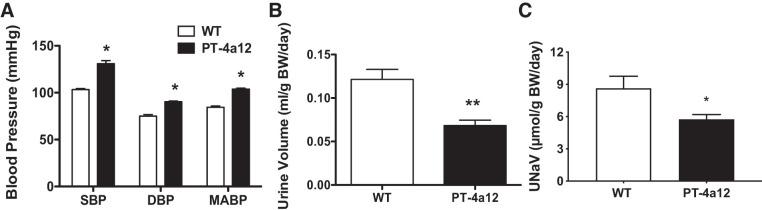 Fig. 4.