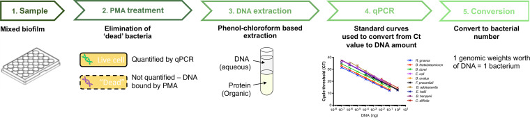 FIG 1