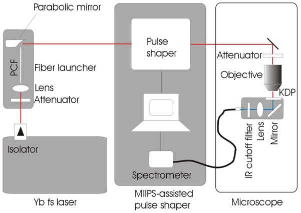 Fig. 1