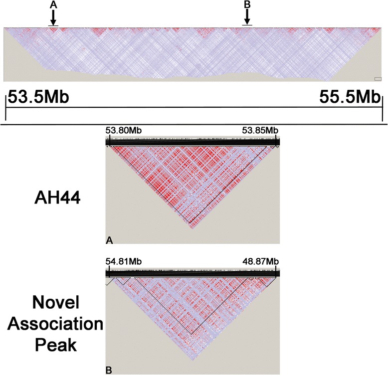 Fig. 4