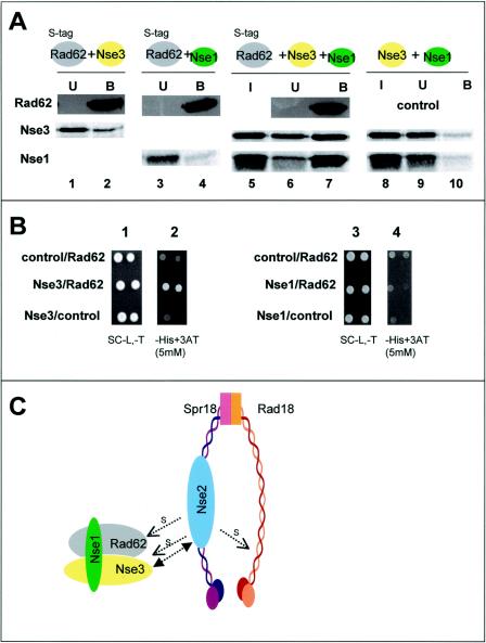 FIG. 7.