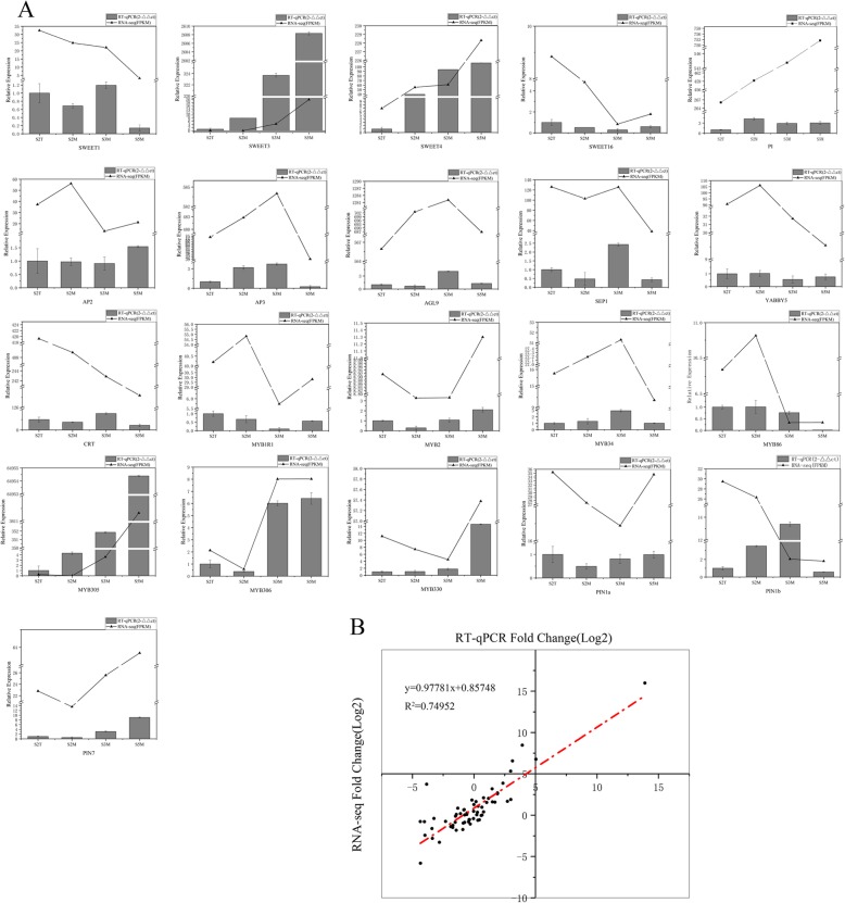 Fig. 12