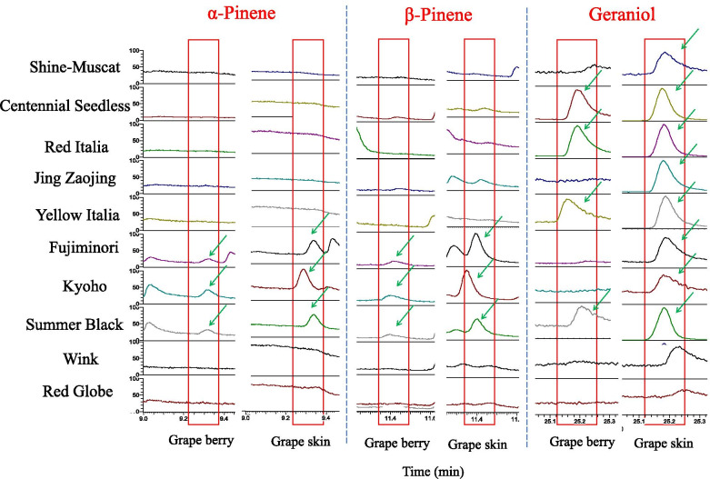 Fig. 4