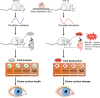 Figure 10.