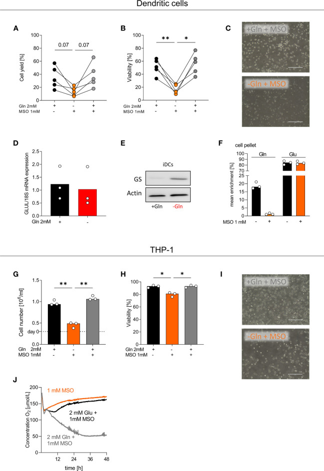 Figure 5