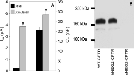 FIGURE 9.