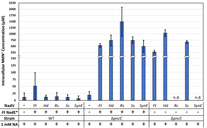 Fig. 3