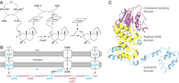 Fig. 3.