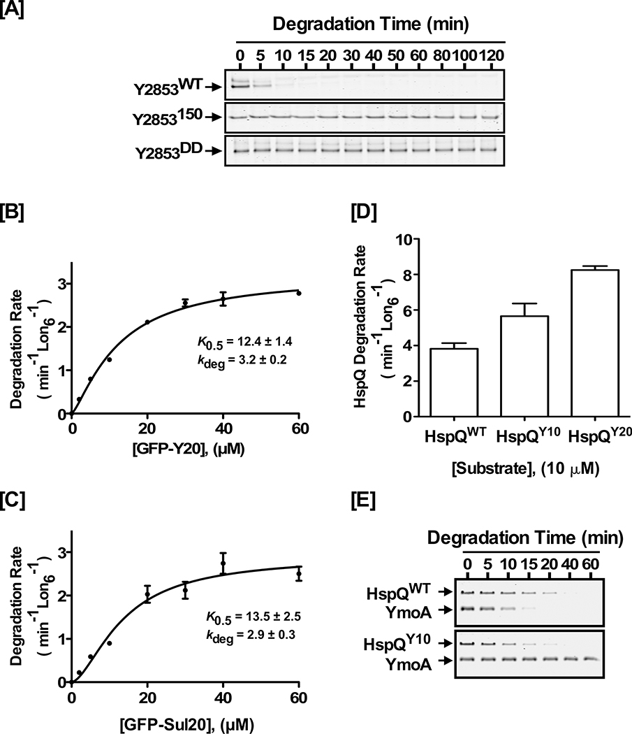 Figure 6: