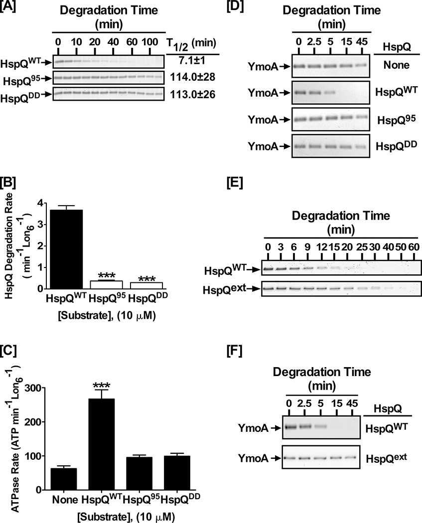 Figure 5: